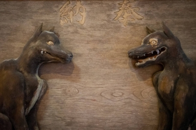A pair of wolves carved from wood exhibited at Mitsumine Shrine’s museum in Chichibu, Saitama Prefecture