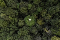 A drone conducts a forest restoration survey over a reforested area in Chiang Mai | AFP-Jiji