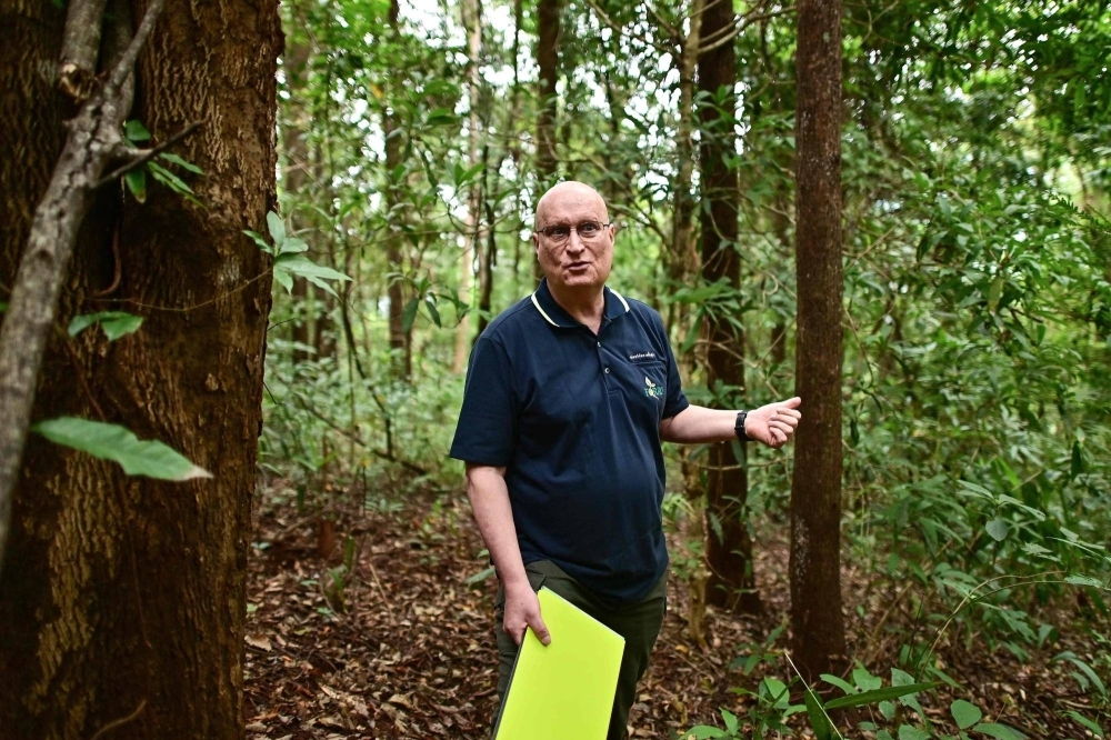 Stephen Elliott, research director at Chiang Mai University's Forest Restoration Research Unit