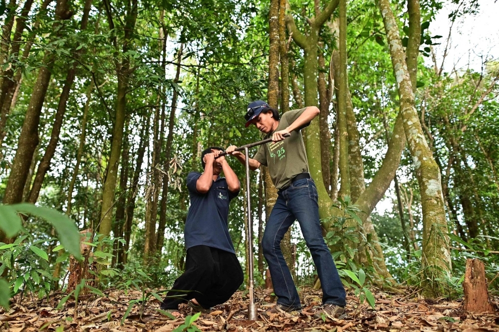 Field research officer Worayut Takaew demonstrates how a soil sample is collected for research on a hillside near Chiang Mai. 