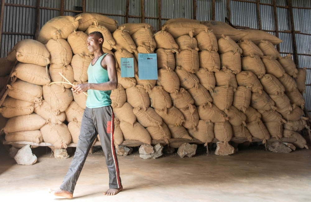 Sacks of coffee beans at a storage unit in the Sidama region of Ethiopia.