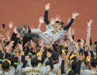 Hanshin Tigers players toss manager Akinobu Okada into the air after the team won its first Japan Series since 1985, at Kyocera Dome Osaka on on Nov. 5 | Kyodo
