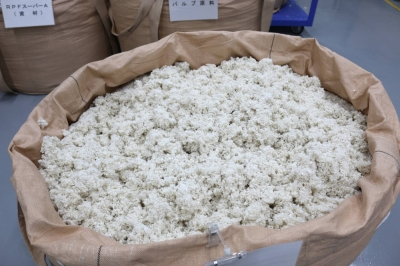 Paper pulp processed from used disposable diapers