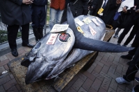 The most expensive tuna sold at this year's first auction displayed outside Toyosu Market in Tokyo on Friday | Bloomberg