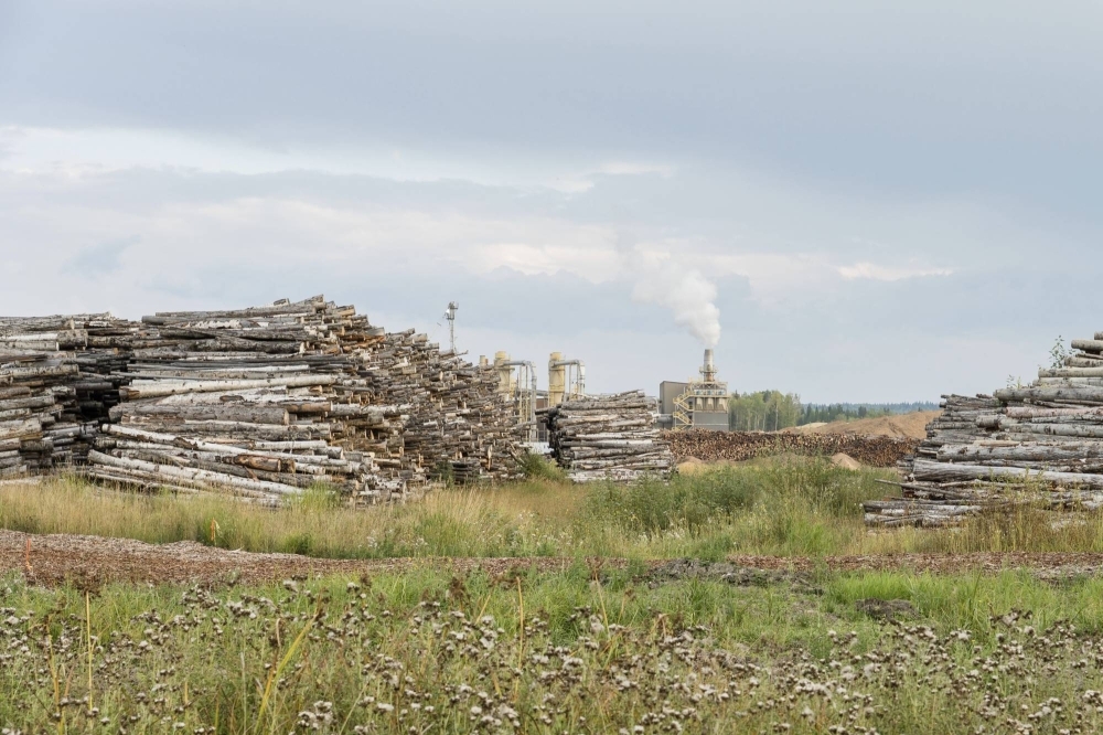 Drax’s Meadowbank pellet mill in British Columbia in 2022. Piles of logs and, in the background, what appears to be woodchips await processing into wood pellets.