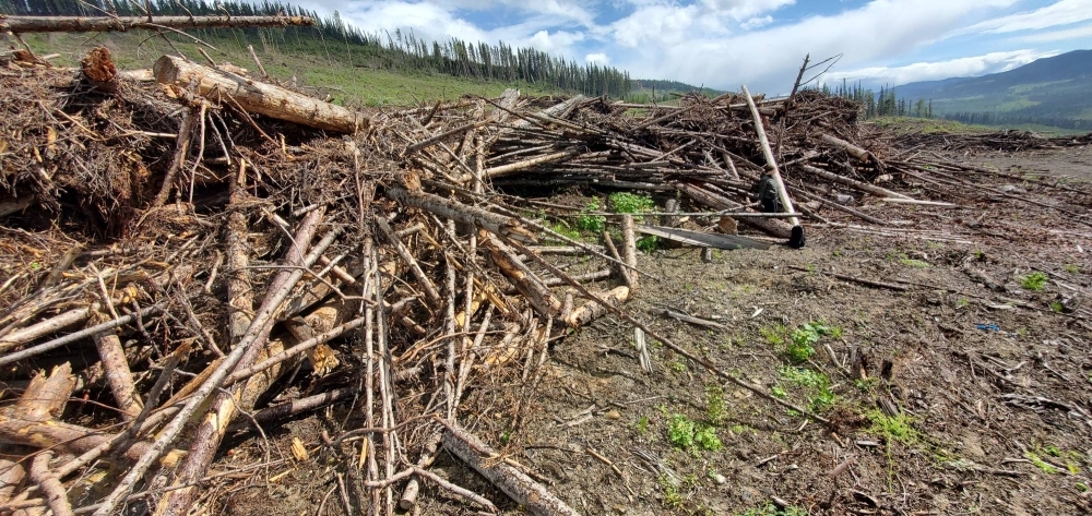 A pile of timber waste following a clearcut near Mackenzie, British Columbia, that had been designated for Pinnacle Renewable Energy, a pellet producer that was later taken over by Drax.
