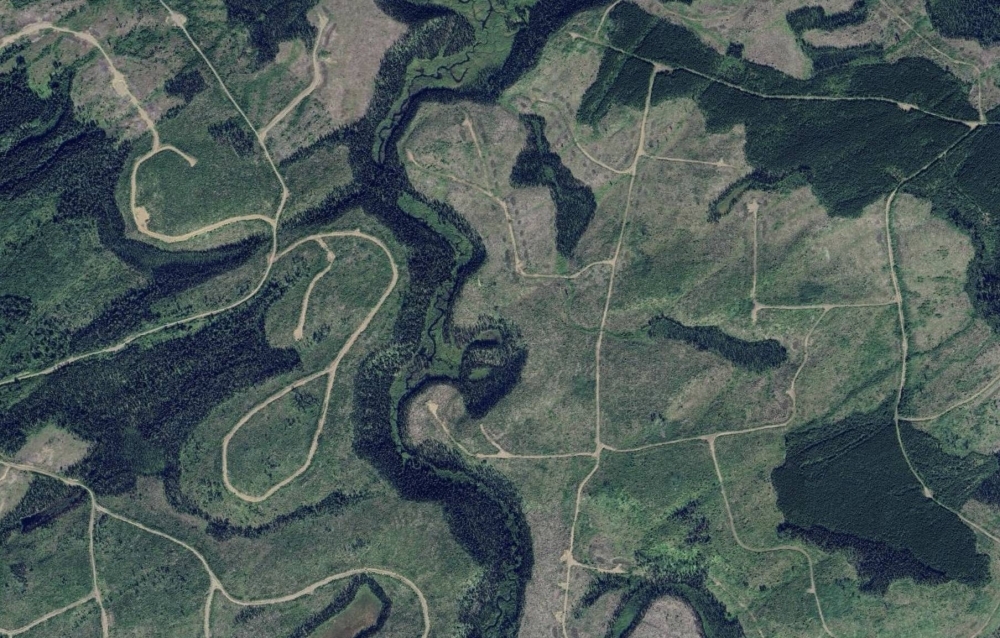A satellite view of clearcuts in the vicinity of Prince George, British Columbia. 