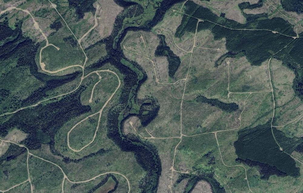A satellite view of clearcuts in the vicinity of Prince George, British Columbia. A satellite view of clearcuts in the vicinity of Prince George, British Columbia.