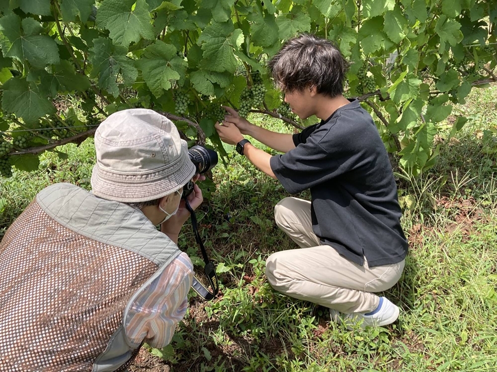 Alongside his apprenticeship at Domaine Takahiko, Takamatsu is an ambassador of sorts charged with promoting the Yoichi region’s wine.
Alongside his apprenticeship at Domaine Takahiko, Takamatsu is an ambassador of sorts charged with promoting the Yoichi region’s wine.