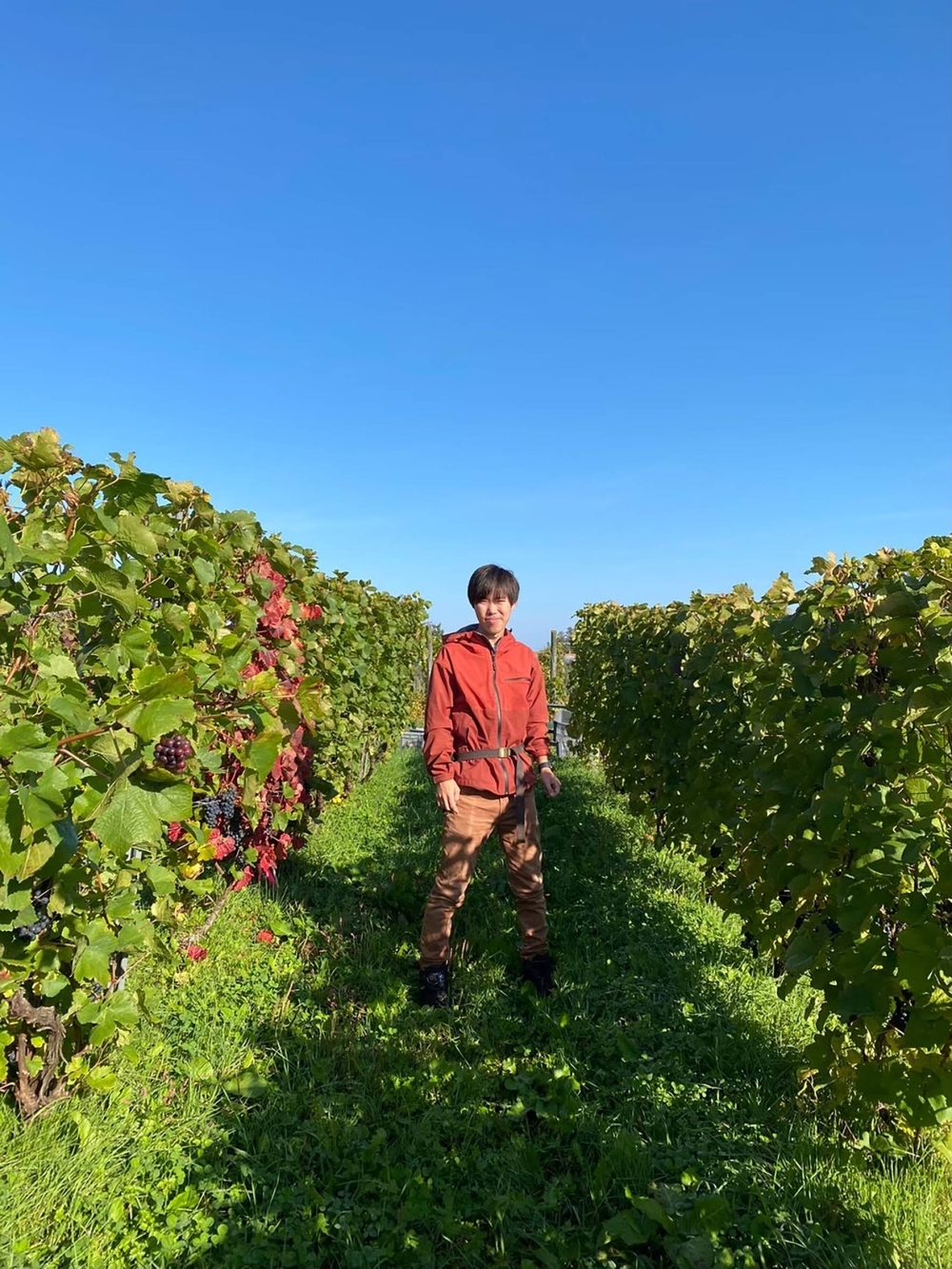 For Takamatsu, the focus is to make wines in Japan from international varieties such as Pinot Noir, Chardonnay and Zweigelt. For Takamatsu, the focus is to make wines in Japan from international varieties such as Pinot Noir, Chardonnay and Zweigelt.