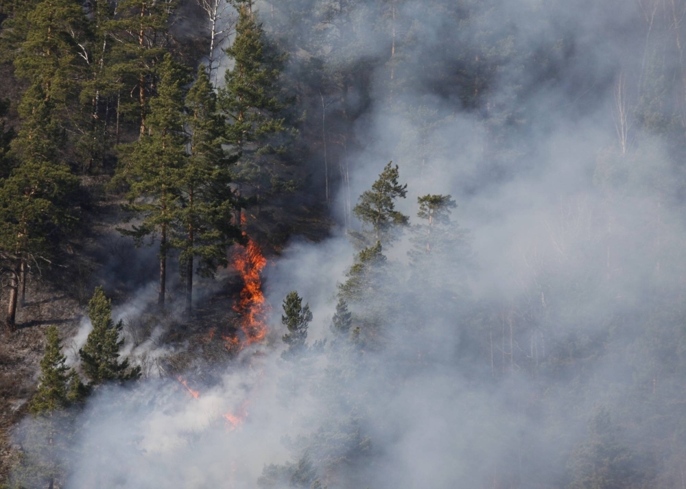 Fire in the Taiga forest outside Russia's Siberian city of Krasnoyarsk in 2014