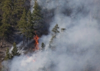 Fire in the Taiga forest outside Russia's Siberian city of Krasnoyarsk in 2014 | REUTERS