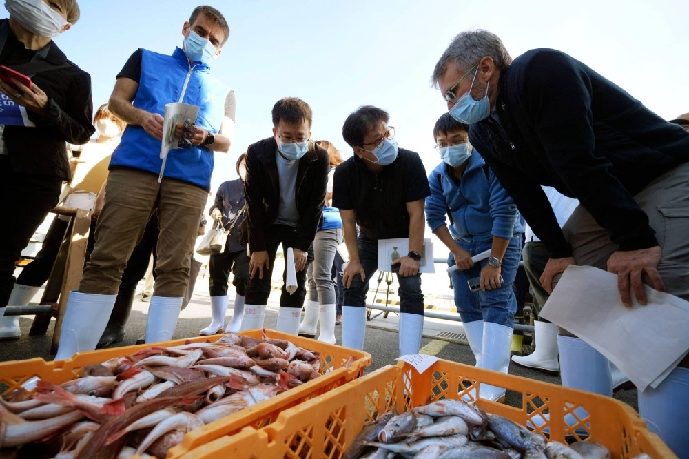 A team of experts from the International Atomic Energy Agency with scientists from China, South Korea and Canada observe baskets of fish to be taken as samples at Hisanohama Port in Iwaki, Fukushima Prefecture, in October.