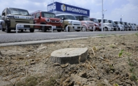 The severed trunk of a roadside tree in front of a Bigmotor dealership in the city of Saitama, in July. Police authorities have received 51 reports of damage apparently caused by the company's practices of felling and killing with herbicides trees on the streets in front of its stores. | Kyodo
