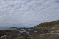 The coast of Jogashima island in Kanagawa Prefecture. The rocks jutting out from the sea are remnants of past ground lift.  | Alex K.T. Martin
