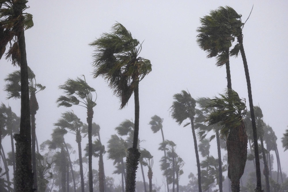 Palm trees in strong winds as the second and more powerful of two atmospheric river storms arrives to Santa Barbara, California, on Sunday
