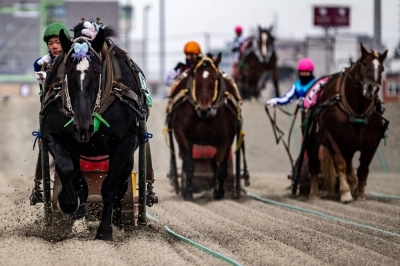 A Banei Keiba horse race takes place at the Obihiro racecourse in Hokkaido on Dec. 9. The unpredictable stop-and-start drama of the world's slowest horse race has drawn new fans.