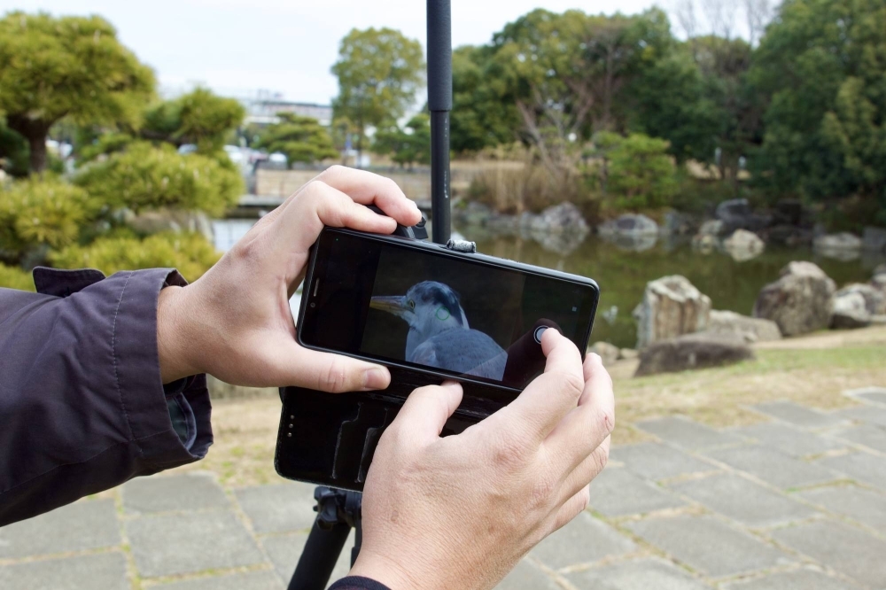 2月4日、葛西臨海公園で野鳥観察者が望遠鏡を使って鳥のアップ写真をスマートフォンで撮影する。