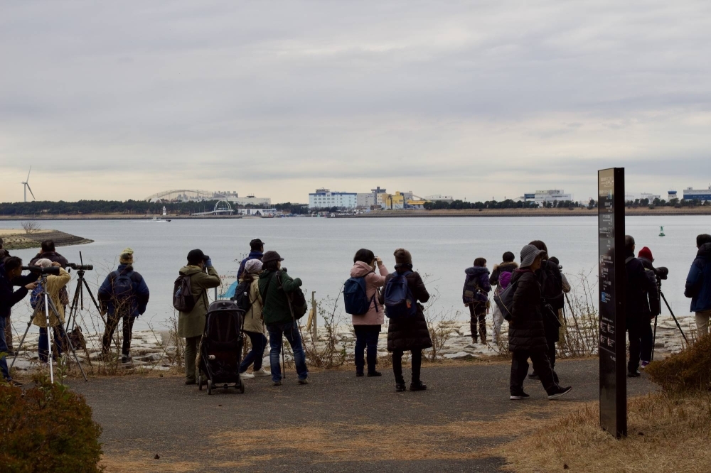 A group of birdwatchers gathers at Kasai Rinkai Park in Tokyo's Edogawa Ward early in the morning on Feb. 4.