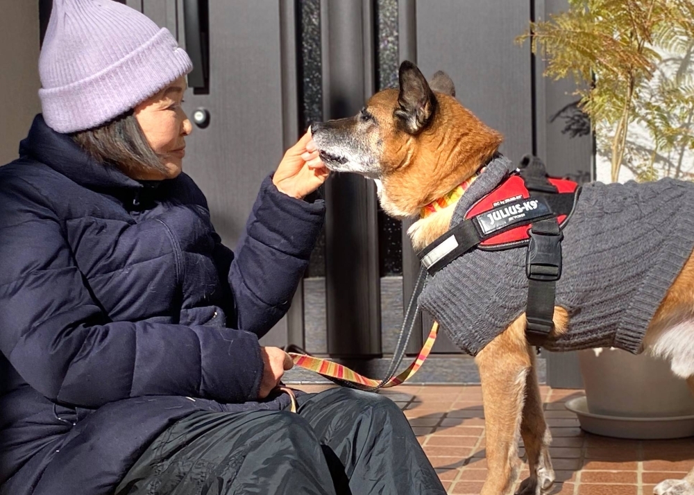Scallywag may have had a rough time when he first came to ARK, but his welcome into the Moriwakis' home is more than making up for that.