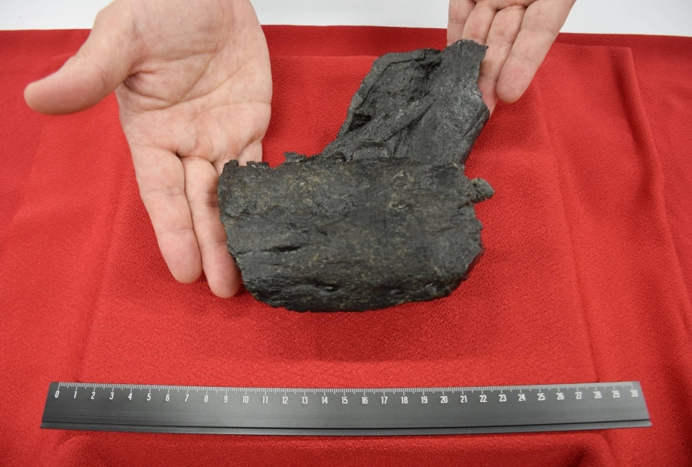 A lower jawbone fossil from a tyrannosaurid dinosaur is shown at the Amakusa Municipal Government office in Kumamoto Prefecture on Thursday.