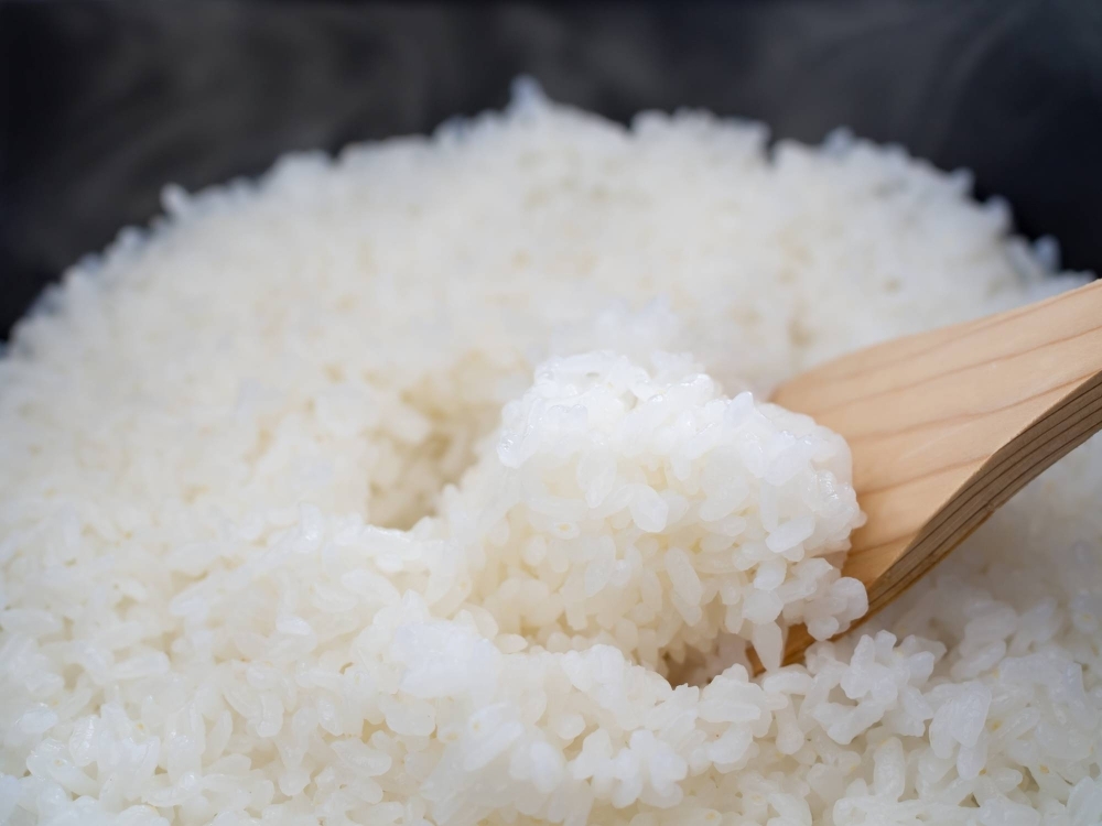 Food industry researchers and academics are hard at work formulating a new dictionary aiming to refine Japan's discourse over rice.