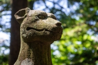 A stone wolf statue found at Ryomen Shrine, a wolf shrine located deep in the mountains of Chichibu’s Otaki district in Saitama Prefecture. | Oscar Boyd 
