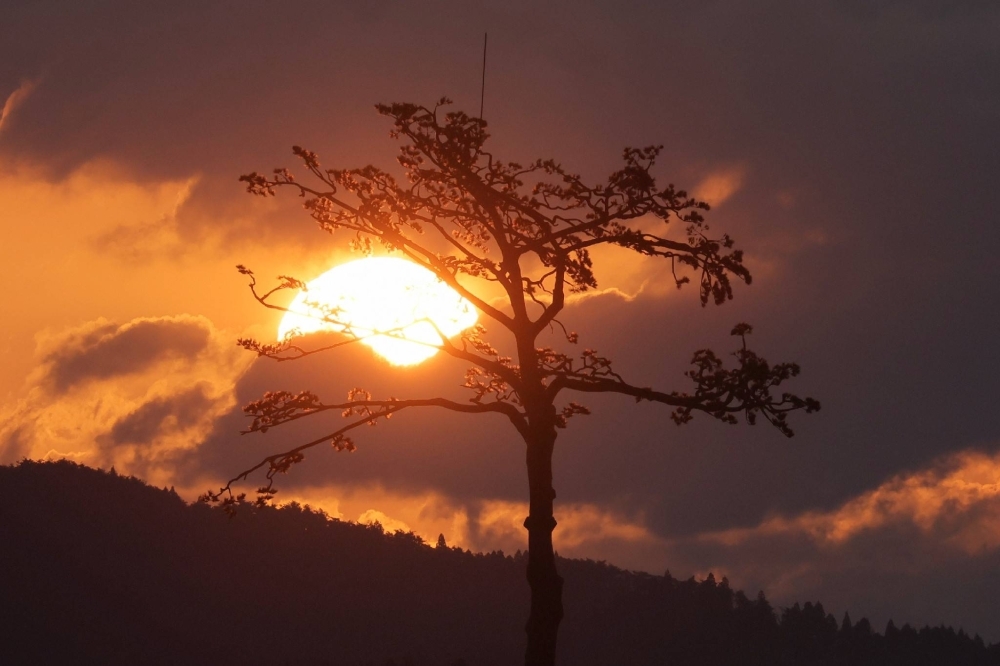The sun rises behind the "miracle pine" in Rikuzentakata, Iwate Prefecture, on Monday, the 13th anniversary of the March 11, 2011, disasters.
