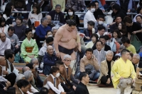 Terunofuji, who has long-standing knee issues as well as back pain, withdrew from the Spring Grand Sumo Tournament on Saturday. | KYODO
