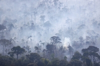 Smoke rises as trees burn in Brazil's Amazon rainforest in August 2023 | REUTERS
