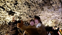 Two people try to take a selfie under the illuminated cherry blossoms in Kyoto’s Gion district last year. | REUTERS