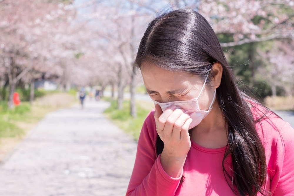 Instead of suffering in sneezes when seasonal allergies have you feeling low, these medicines may be able to help.