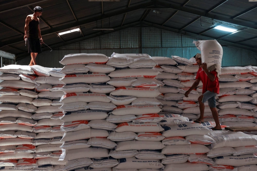 A worker stands on a pile of rice sacks as the other worker carries a sack of rice at the warehouse in Jakarta on Feb.13. Dry weather fueled by El Nino has led to a rice shortage and sent prices to record highs.