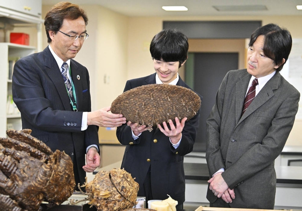 Prince Hisahito (center) holds a hornet's nest in the insect science laboratory of Tamagawa University in the Tokyo city of Machida on Saturday, as Crown Price Akishino (right) observes.