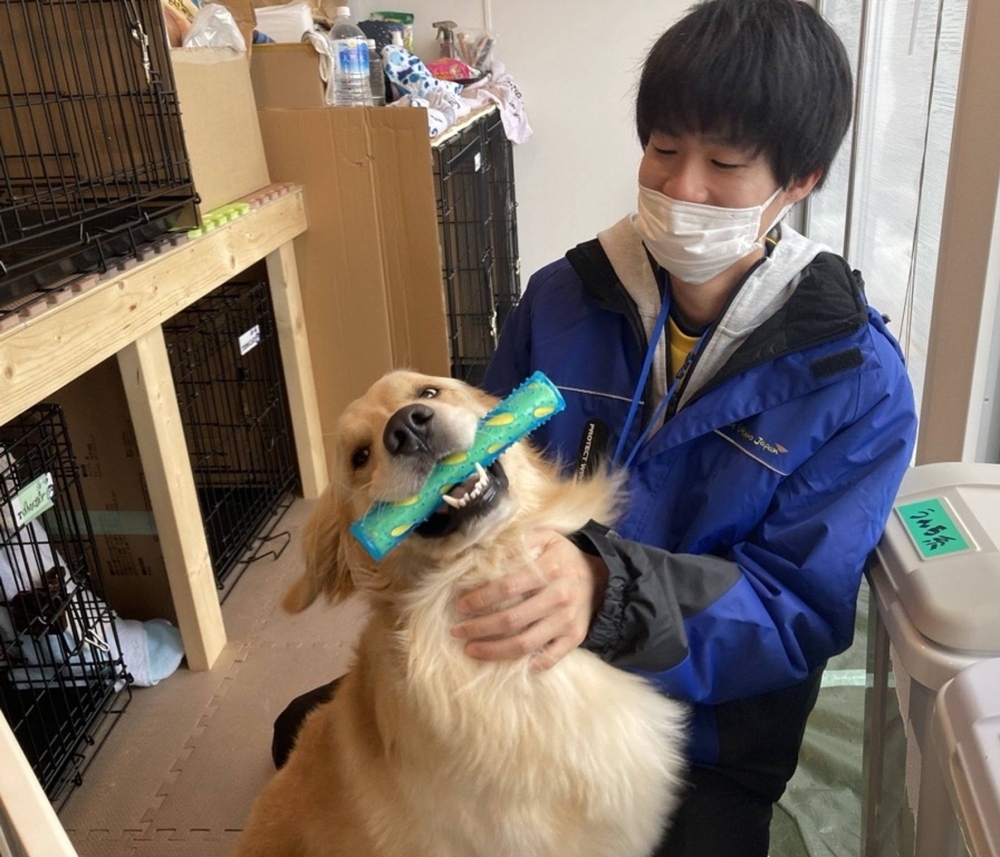 A staff member attends to a dog at a day care center for pets operated by Peace Winds Japan in Suzu, Ishikawa Prefecture.