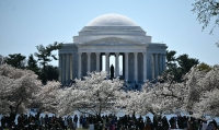 The Thomas Jefferson Memorial is seen surrounded by cherry blossoms at the Tidal Basin in Washington on March 24. | AFP-Jiji
