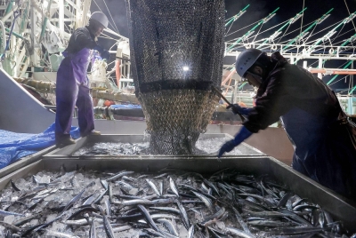 Japan and other countries are holding annual talks on saury catch quota.