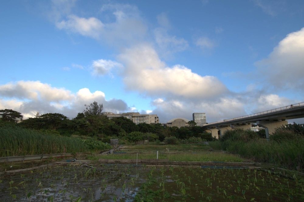 A farm near an OKEON monitoring station in Ginowan, Okinawa Prefecture, on April 3
