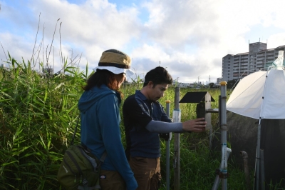 Toshihiro Kinjo (center), a research support technician at the Okinawa Institute of Science and Technology, inspects an audio recording device in Ginowan, Okinawa Prefecture, on April 3 as Masako Ogasawara, a research support specialist at OIST, looks on.
