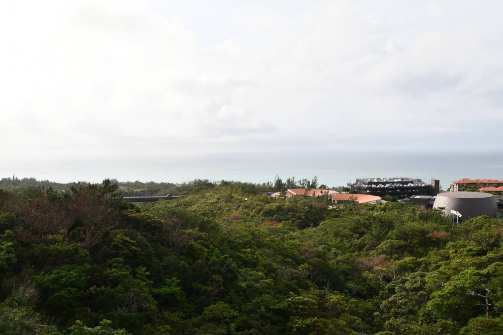 An OKEON monitoring station (the white dot in the distance) at the Okinawa Institute of Science and Technology in Onna, Okinawa Prefecture, on April 4