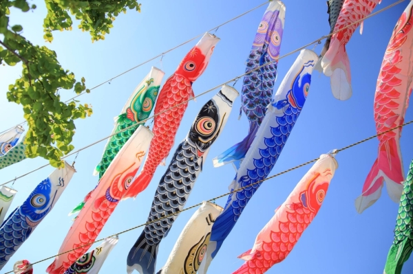 The carp-shaped streamers you see flying in the wind around the start of May are connected to Children's Day. The carp is a symbol of strength and success, which is why it is used in connection to the holiday. 