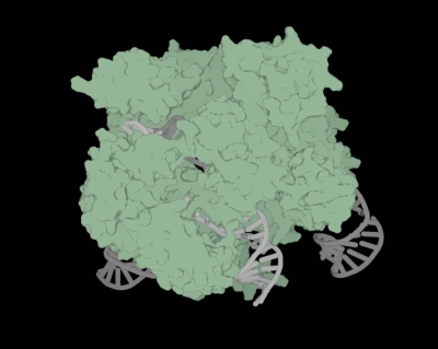 An image provided by Profluent Bio shows the physical structure of OpenCRISPR-1, a gene editor created by AI technology from Profluent.
