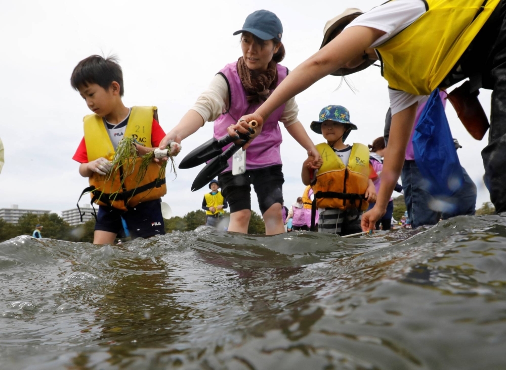 A family prepares to plant eelgrass seedlings during a project to restore the natural ecosystem in Yokohama on April 13.