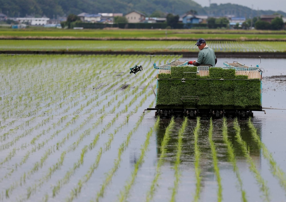 A farmer using a rice planting machine transplants rice in Ryugasaki, Ibaraki Prefecture. Rice is the cornerstone of food security in Japan, according to the agriculture ministry.