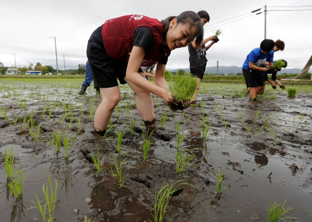 Tourists from Tokyo universities plant rice seedlings in a paddy near the tsunami-crippled Fukushima No. 1 nuclear power plant during a rice-planting event in Namie, Fukushima Prefecture, in 2018. 