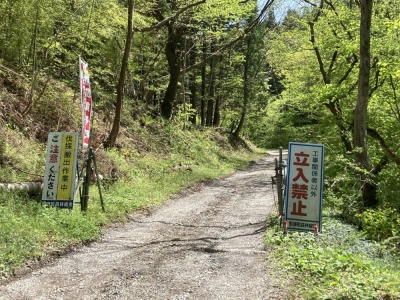 A forest road in Nasu, Tochigi Prefecture, near the site where the burned bodies of a Tokyo couple were found last month