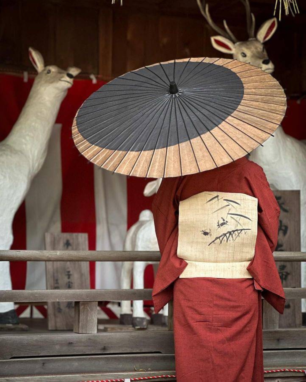 For the fashion conscious, a traditional paper 'higasa' (parasol) can be a perfect accent to your outfit — if you can afford the price. For the fashion conscious, a traditional paper 'higasa' (parasol) can be a perfect accent to your outfit — if you can afford the price.