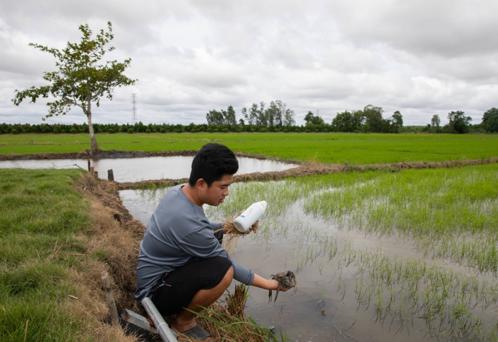 Trung Tin, a rice farmer in Can Tho, fishes out a plastic bag from a rice field while holding a used pesticide bottle. Trung Tin, a rice farmer in Can Tho, fishes out a plastic bag from a rice field while holding a used pesticide bottle.