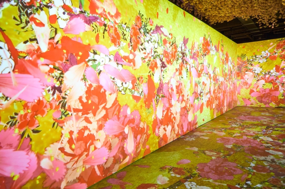 The nine rooms have distinct themes based on masterful use of color and the beauty found in nature The nine rooms have distinct themes based on masterful use of color and the beauty found in nature