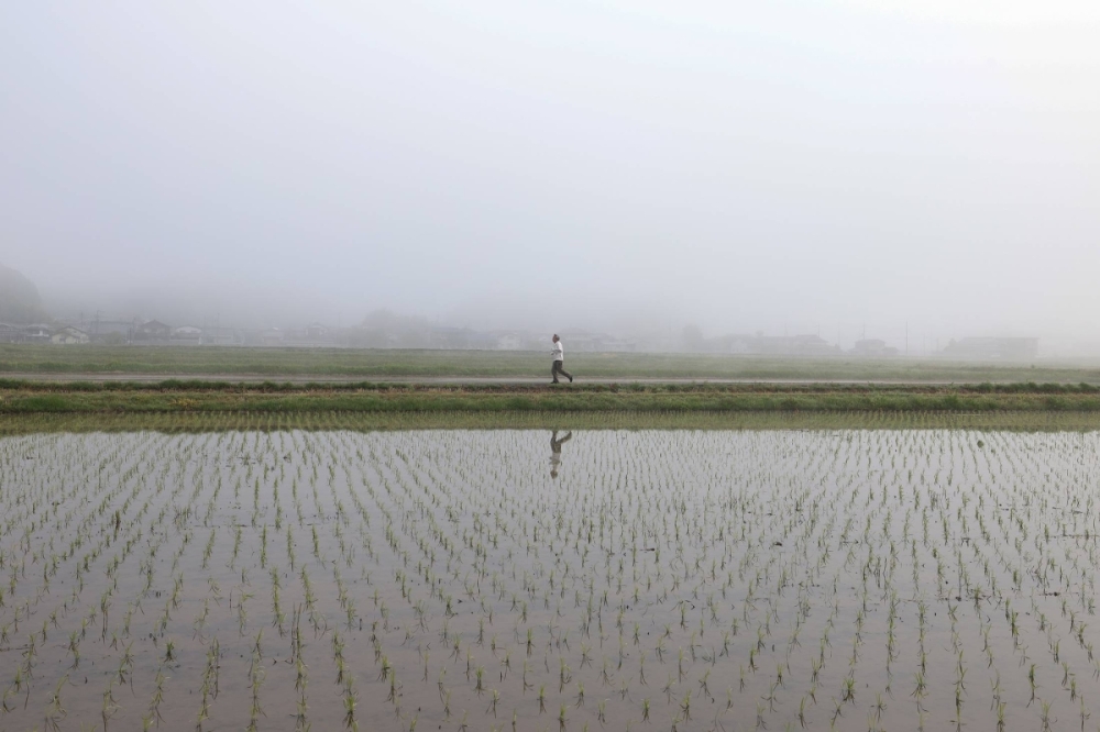 Climate activists argue Japan’s climate goals are too weak, and have criticized the process used to develop targets. Climate activists argue Japan’s climate goals are too weak, and have criticized the process used to develop targets.